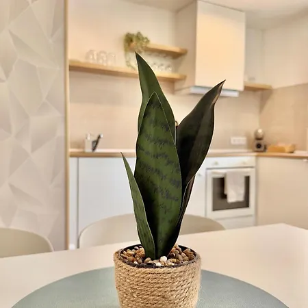 Casa Costa Lux Holiday home Santa Pola